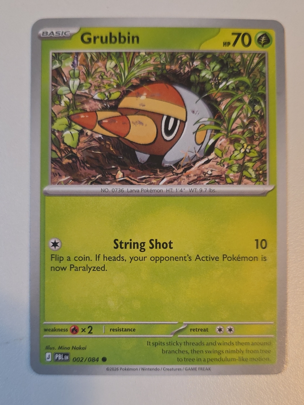 Pokemon Grubbin Card